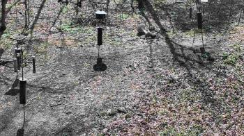 Weather camera view of Cincinnati Nature Center.