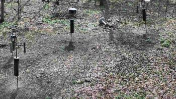 Weather camera view of Cincinnati Nature Center.