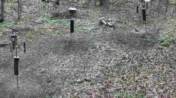 Weather camera view of Cincinnati Nature Center.