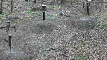 Weather camera view of Cincinnati Nature Center.