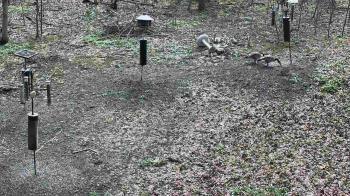 Weather camera view of Cincinnati Nature Center.