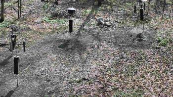 Weather camera view of Cincinnati Nature Center.