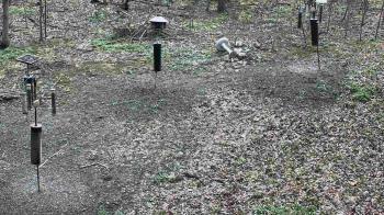 Weather camera view of Cincinnati Nature Center.