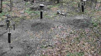 Weather camera view of Cincinnati Nature Center.