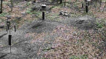 Weather camera view of Cincinnati Nature Center.