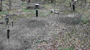 Weather camera view of Cincinnati Nature Center.