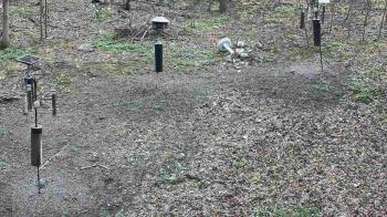 Weather camera view of Cincinnati Nature Center.