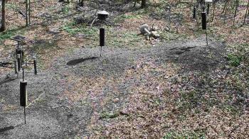 Weather camera view of Cincinnati Nature Center.