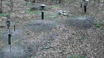 Weather camera view of Cincinnati Nature Center.