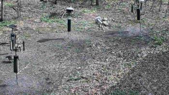 Weather camera view of Cincinnati Nature Center.