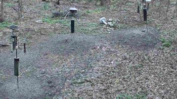 Weather camera view of Cincinnati Nature Center.