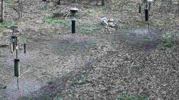 Weather camera view of Cincinnati Nature Center.