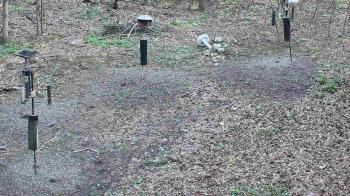 Weather camera view of Cincinnati Nature Center.