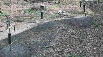 Weather camera view of Cincinnati Nature Center.