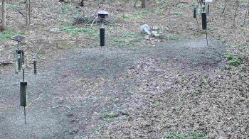 Weather camera view of Cincinnati Nature Center.