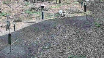 Weather camera view of Cincinnati Nature Center.