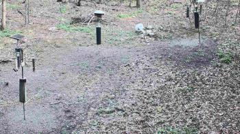 Weather camera view of Cincinnati Nature Center.