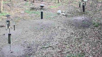 Weather camera view of Cincinnati Nature Center.