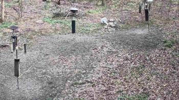 Weather camera view of Cincinnati Nature Center.