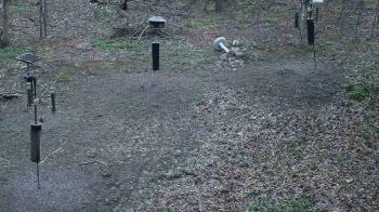 Weather camera view of Cincinnati Nature Center.