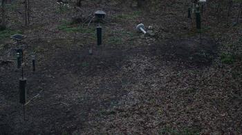 Weather camera view of Cincinnati Nature Center.