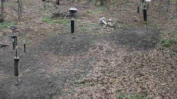 Weather camera view of Cincinnati Nature Center.