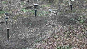 Weather camera view of Cincinnati Nature Center.