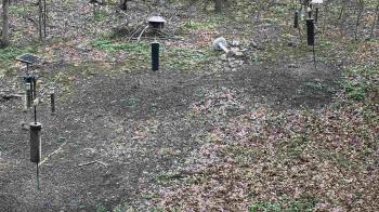 Weather camera view of Cincinnati Nature Center.