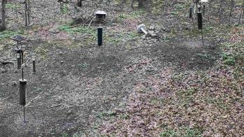 Weather camera view of Cincinnati Nature Center.