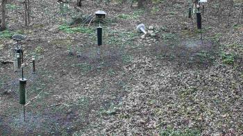 Weather camera view of Cincinnati Nature Center.
