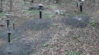 Weather camera view of Cincinnati Nature Center.