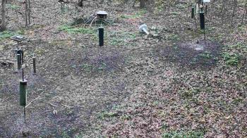 Weather camera view of Cincinnati Nature Center.