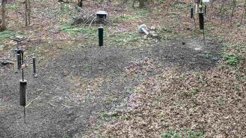 Weather camera view of Cincinnati Nature Center.