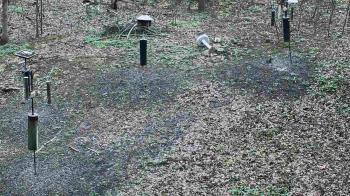 Weather camera view of Cincinnati Nature Center.