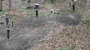 Weather camera view of Cincinnati Nature Center.