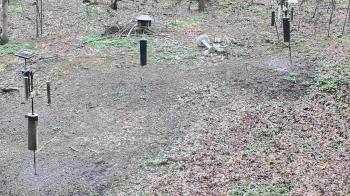 Weather camera view of Cincinnati Nature Center.