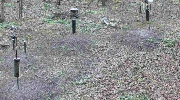 Weather camera view of Cincinnati Nature Center.
