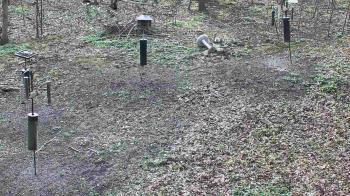 Weather camera view of Cincinnati Nature Center.