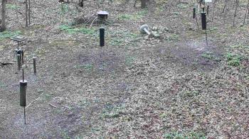 Weather camera view of Cincinnati Nature Center.