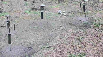 Weather camera view of Cincinnati Nature Center.