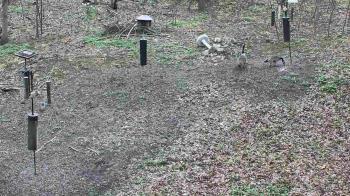 Weather camera view of Cincinnati Nature Center.