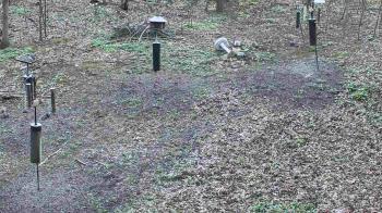 Weather camera view of Cincinnati Nature Center.