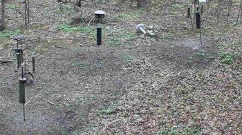 Weather camera view of Cincinnati Nature Center.