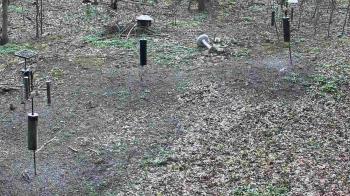 Weather camera view of Cincinnati Nature Center.