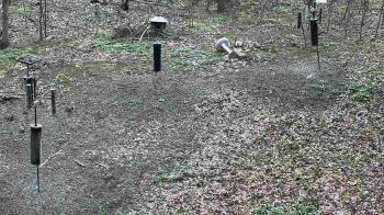 Weather camera view of Cincinnati Nature Center.
