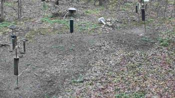 Weather camera view of Cincinnati Nature Center.