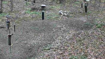 Weather camera view of Cincinnati Nature Center.