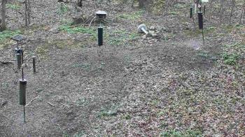 Weather camera view of Cincinnati Nature Center.