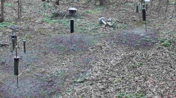 Weather camera view of Cincinnati Nature Center.