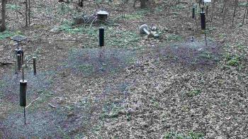 Weather camera view of Cincinnati Nature Center.